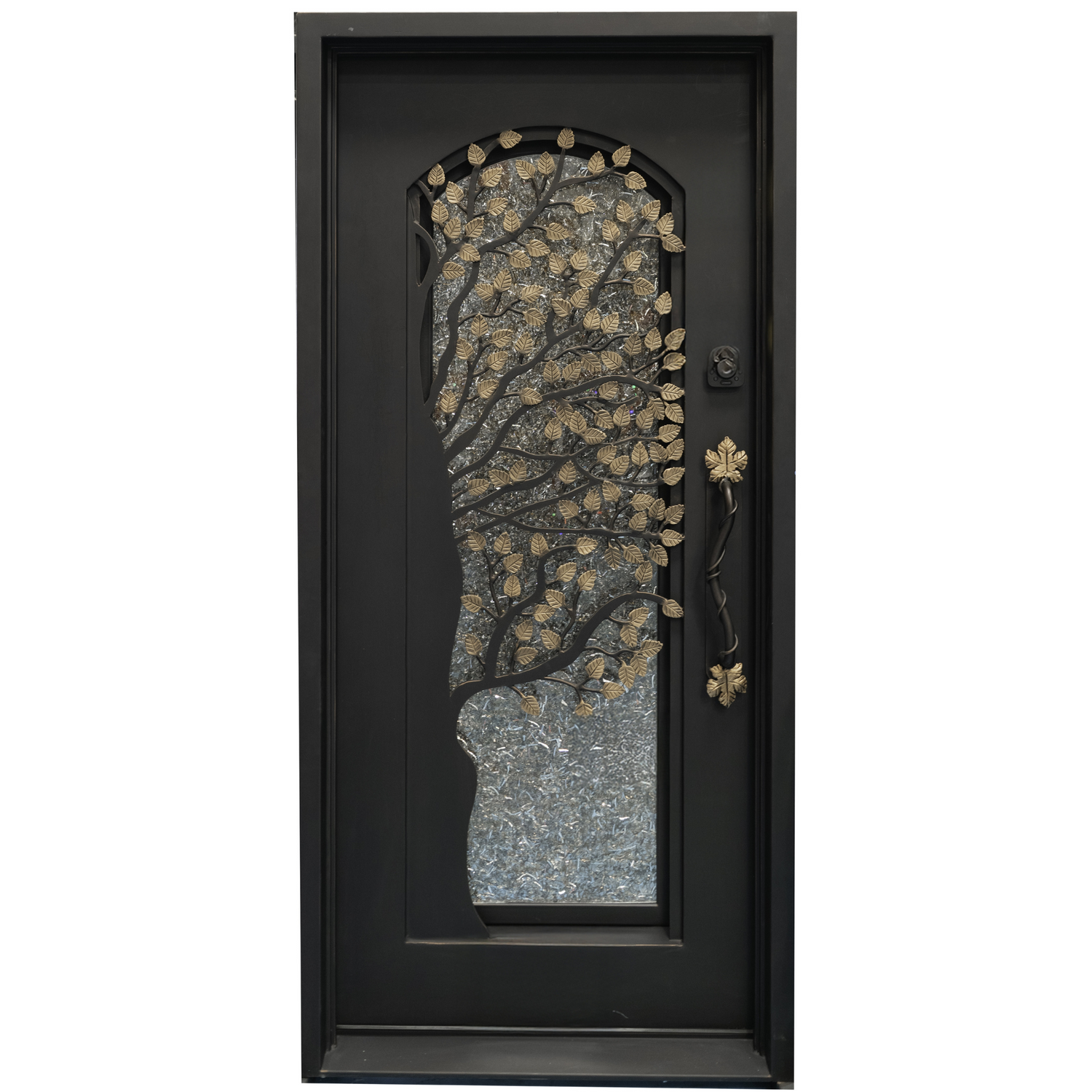 Decorative iron door with floral design and black frame