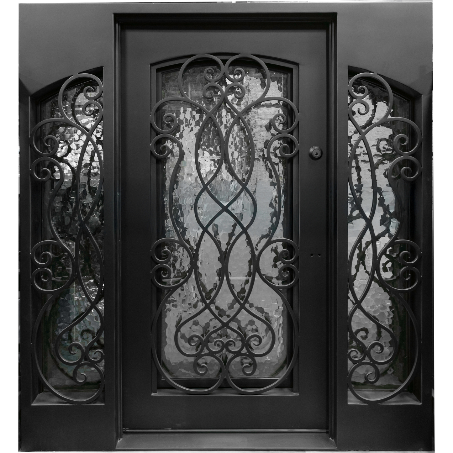 Decorative wrought iron door with intricate patterns and glass