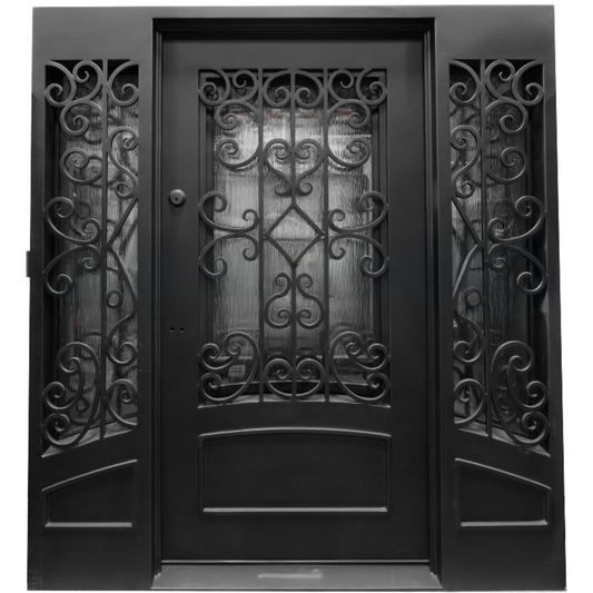 Decorative black wrought iron door with intricate patterns
