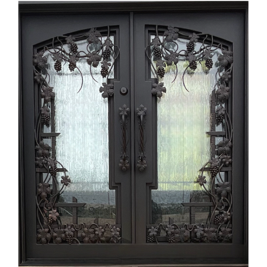 Decorative wrought iron door with intricate designs and glass panels