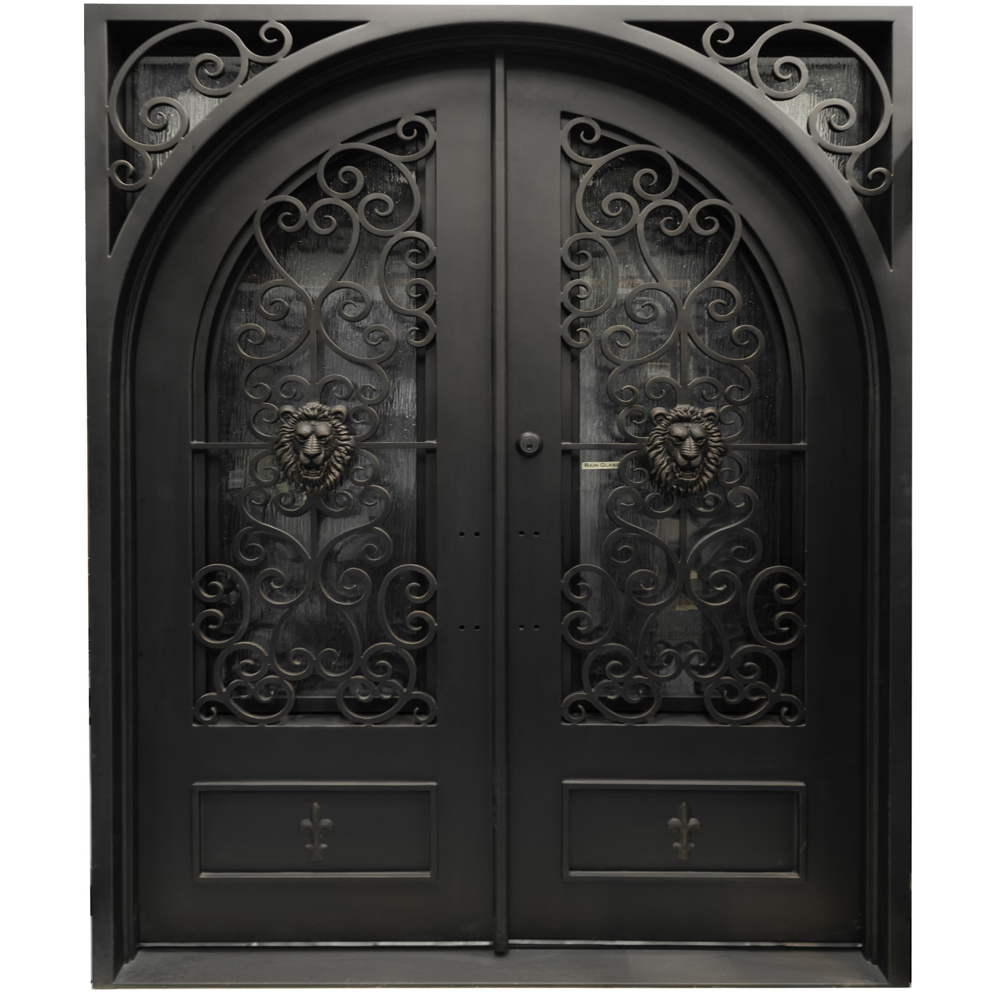 Decorative black iron double door with lion head designs