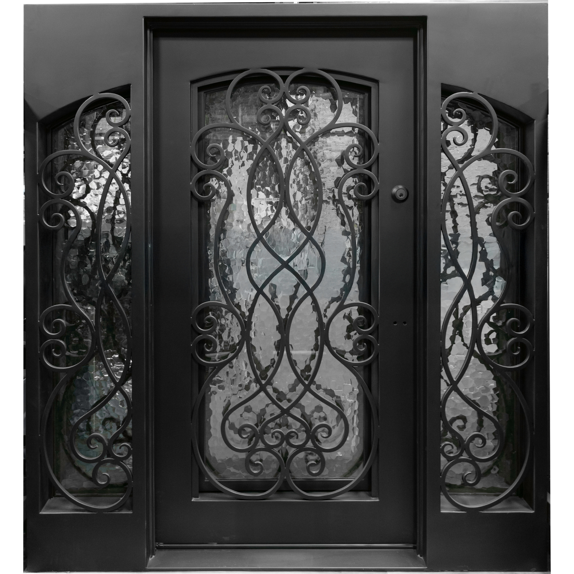 Decorative wrought iron door with intricate patterns and glass